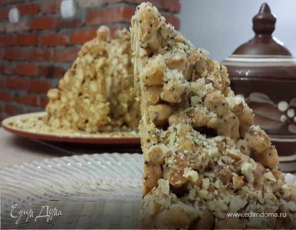 "Муравейник в овечьей шубке" "Муравейник в овечьей шубке"