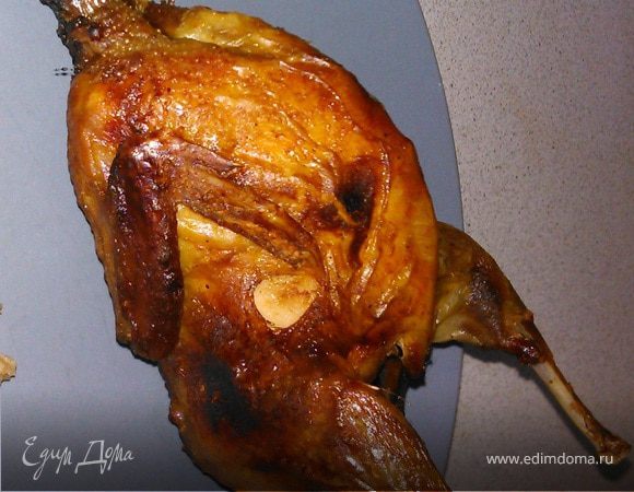 Перепелки "Проще простого"