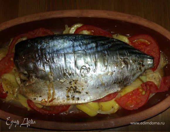 Паламут на картофельно-томатной подушке. Паламут на картофельно-томатной подушке.