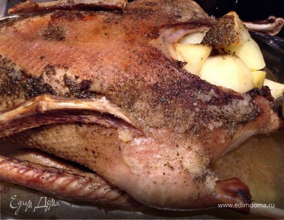 Гусь с картошкой Гусь с картошкой