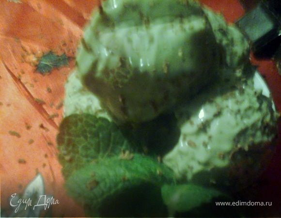 Мятно-шоколадное мороженое