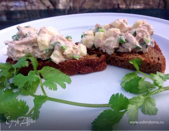 Закуска из тунца и яблока Закуска из тунца и яблока