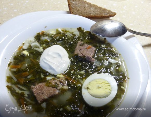 Зеленый борщ Зеленый борщ