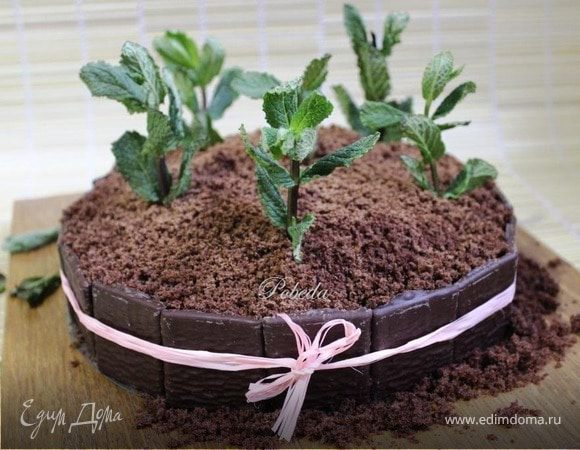 Шоколадно-мятный торт Шоколадно-мятный торт