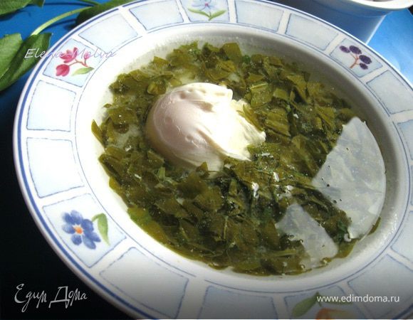 Щи щавелевые холодные «Как айсберг в океане…» Щи щавелевые холодные «Как айсберг в океане…»