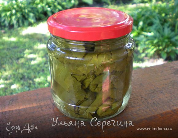 Консервирование виноградных листьев