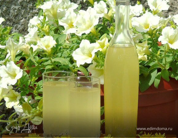 Вино из одуванчиков