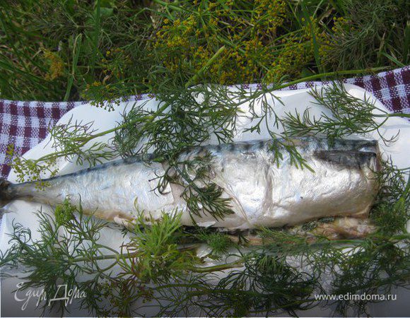 Скумбрия-гриль с маслом и укропом Скумбрия-гриль с маслом и укропом