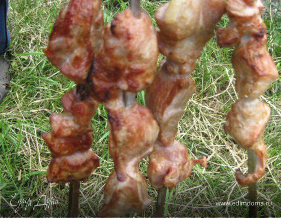 Шашлык, маринованный в кефире