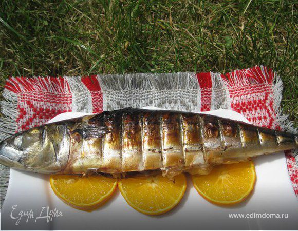 Скумбрия с апельсинами