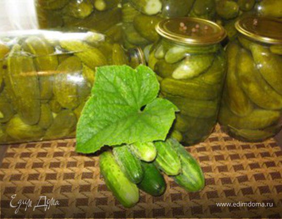 Огурчики консервированные "Любимые" Огурчики консервированные "Любимые"