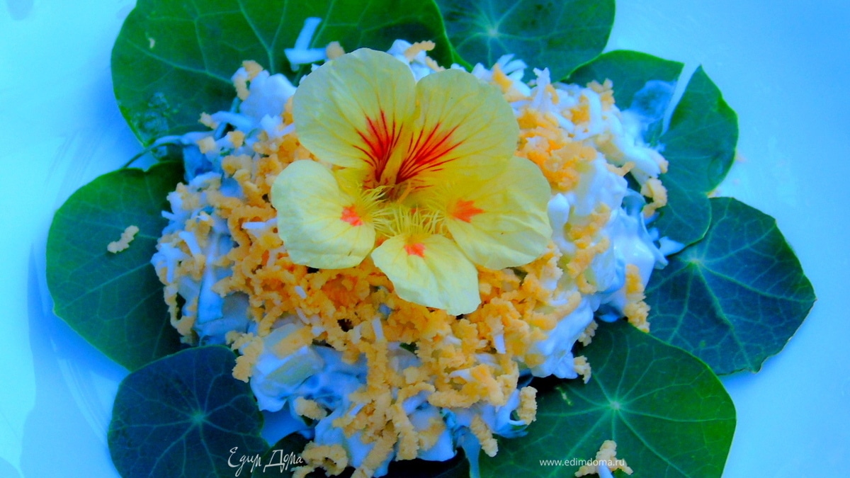 Салат с огурцом и листьями настурции