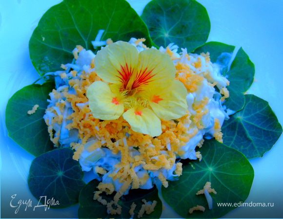 Салат с огурцом и листьями настурции Салат с огурцом и листьями настурции