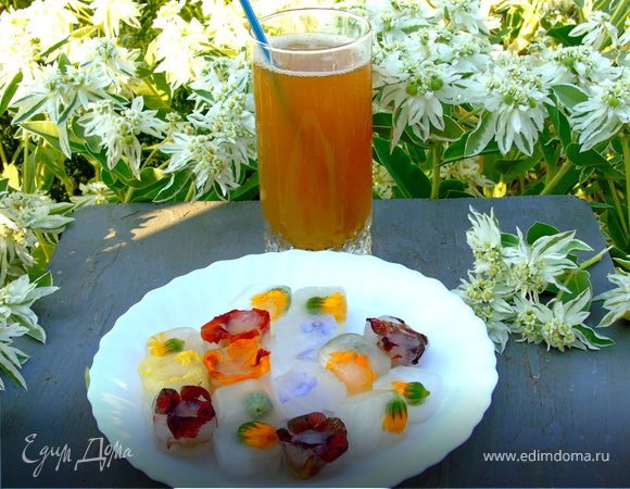 Напиток из календулы с цветочным льдом Напиток из календулы с цветочным льдом