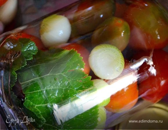 Луковые помидоры Луковые помидоры