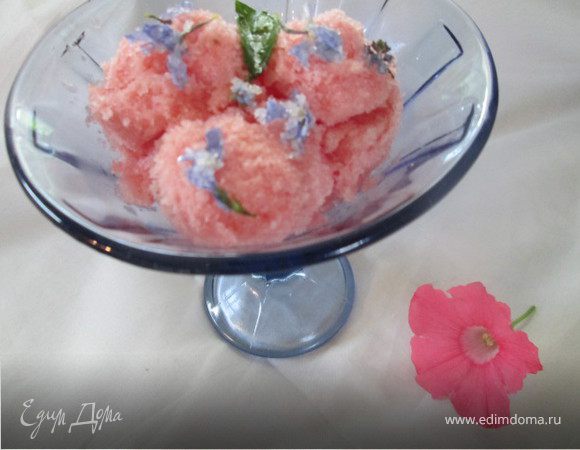 Арбузный сорбет на игристом вине 