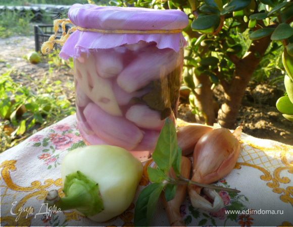 Маринованный лук с перцем и базиликом Маринованный лук с перцем и базиликом
