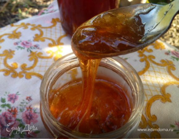 Яблочное желе Яблочное желе