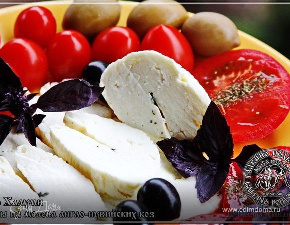 Сыр Халуми и Анари из молока англо-нубийских коз Сыр Халуми и Анари из молока англо-нубийских коз