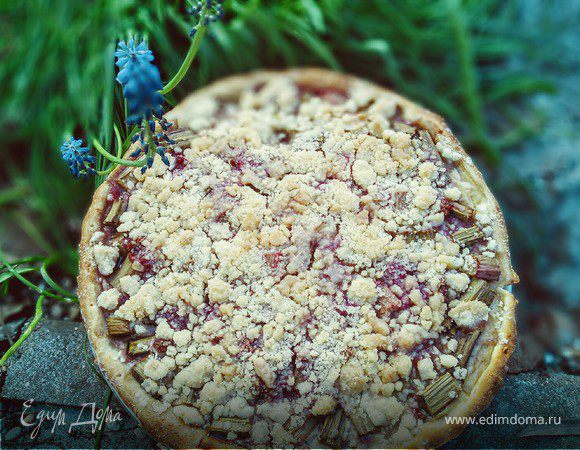 Ревеневый тарт с ванильным пудингом и штройзелем