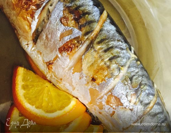 Скумбрия с апельсином в фольге Скумбрия с апельсином в фольге