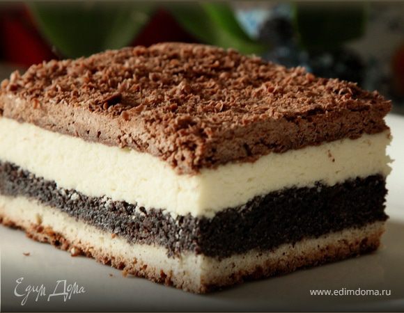 Пляцок «Зебра» Пляцок «Зебра»