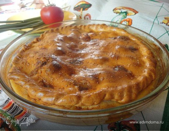 Фитчи Фитчи