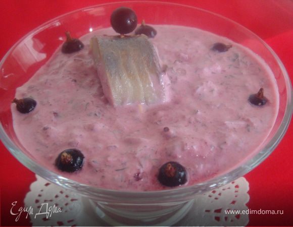 Сельдь с черной смородиной Сельдь с черной смородиной