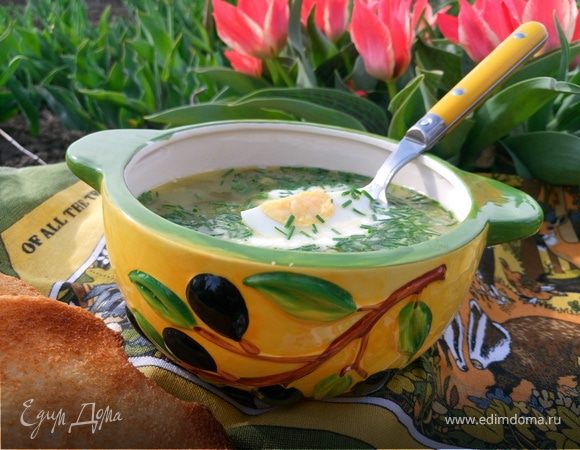 Зеленый борщ (cтарый рецепт на новый лад)