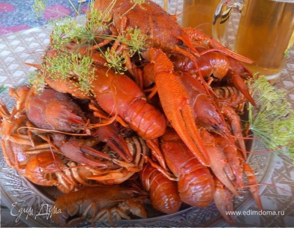 Раки, вареные 4х4 Раки, вареные 4х4