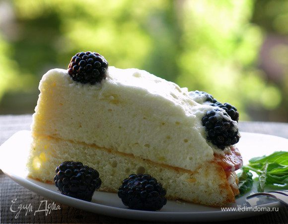 Бисквитный торт с ежевикой и мятным кремом шибуст Бисквитный торт с ежевикой и мятным кремом шибуст