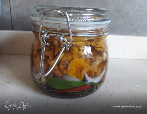 Быстрые лисички Быстрые лисички