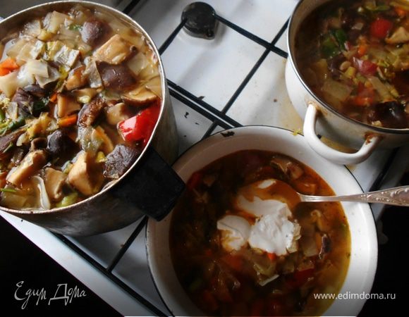 Щи с индейкой и грибами шиитаке Щи с индейкой и грибами шиитаке