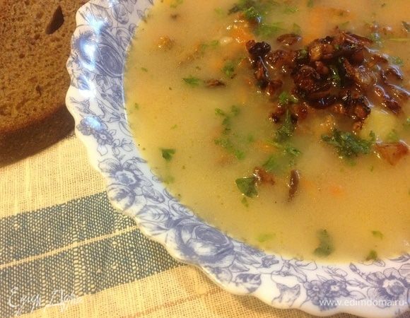 Суп Из Лисичек Свежих Рецепты С Фото