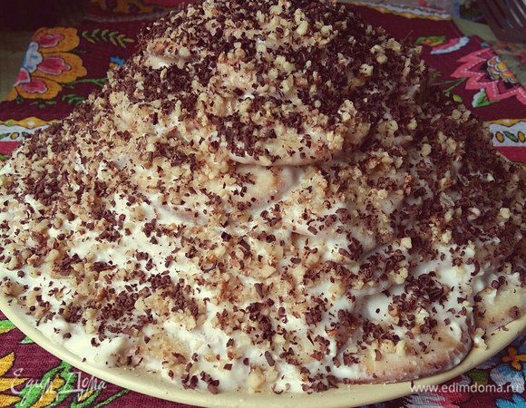 Торт «Черепаха» Торт «Черепаха»