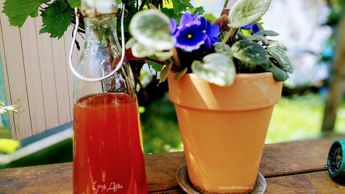 Ревеневый сироп