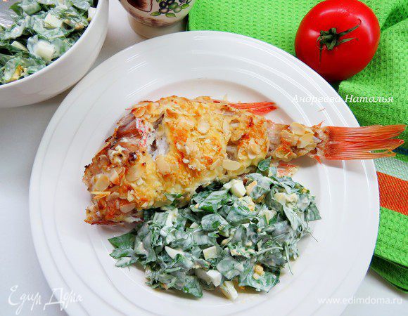 Морской окунь под сметанным соусом Морской окунь под сметанным соусом