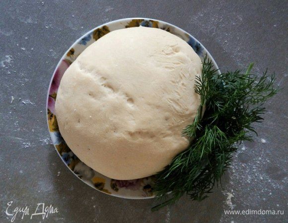 Идеальное тесто для пиццы Идеальное тесто для пиццы