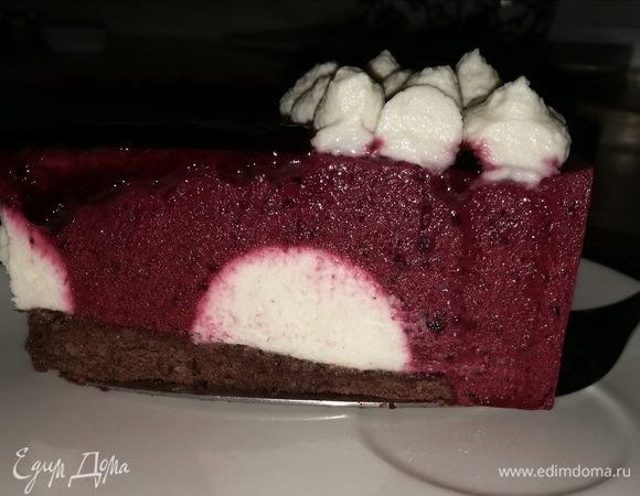 Муссовый торт из черной смородины Муссовый торт из черной смородины