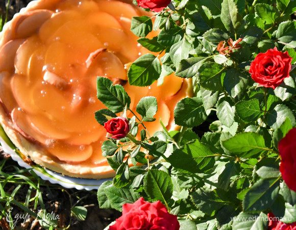 Фруктово-мармеладный пирог Фруктово-мармеладный пирог