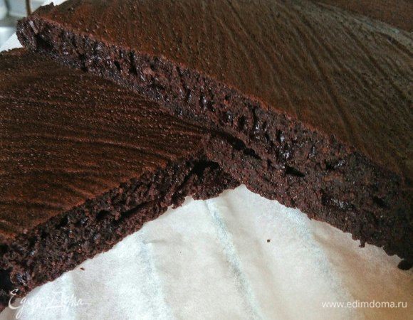 Шоколадный бисквит Шоколадный бисквит