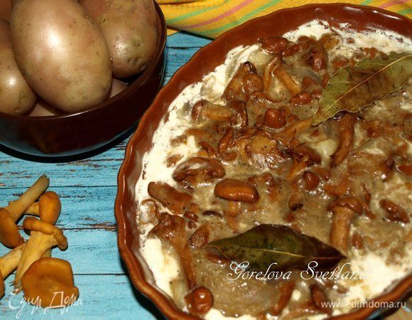 Лисички в сметане Лисички в сметане