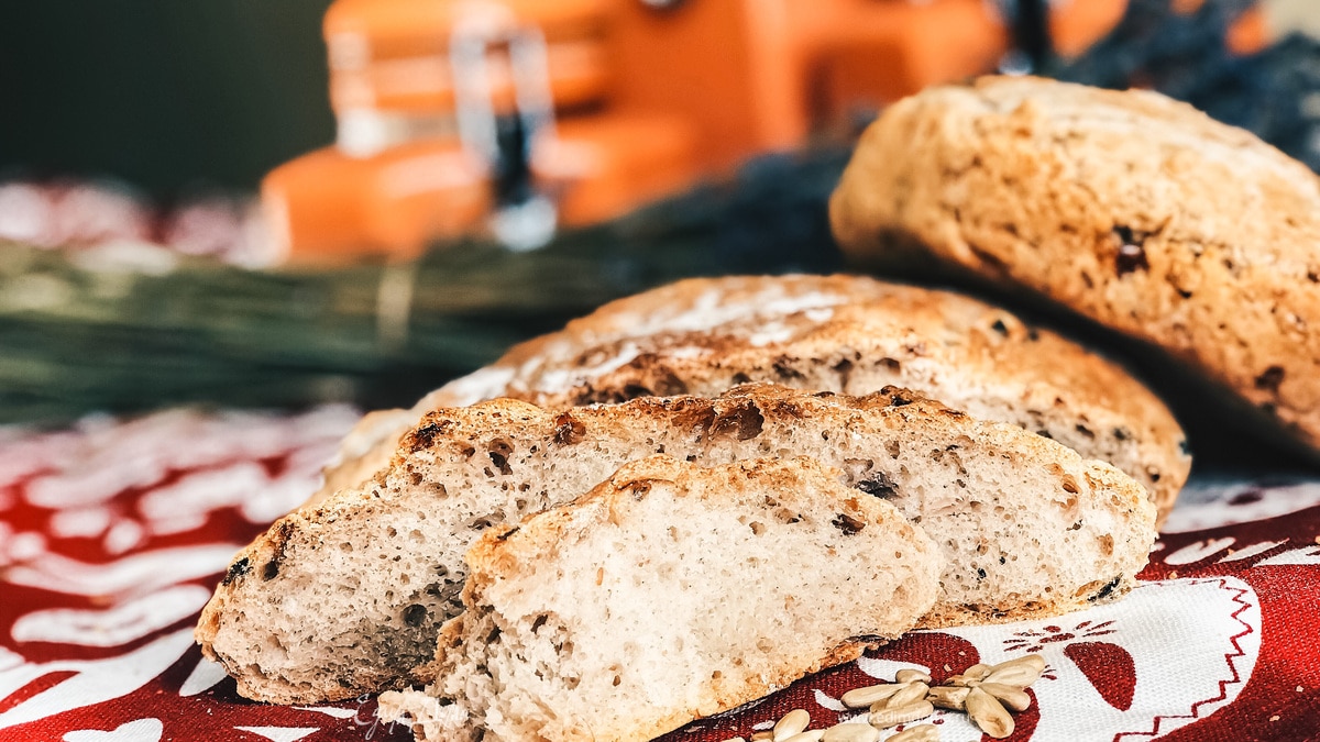 Хлеб на ночной опаре с карамелизированным луком