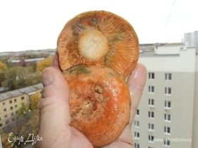 Фото рецепта