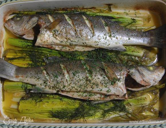 Сибас, запеченный с пореем и укропом