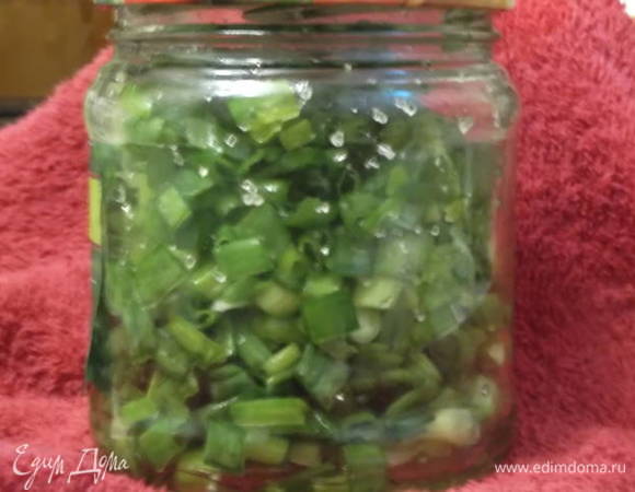 Лук зеленый на зиму Лук зеленый на зиму