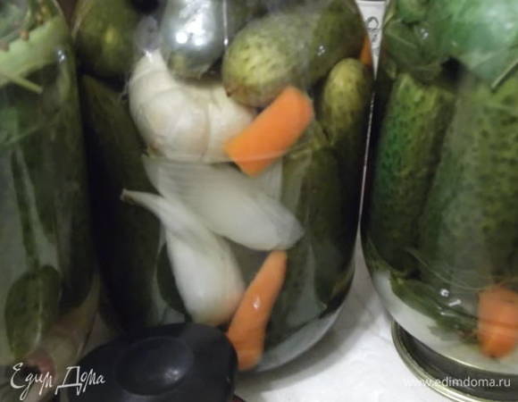 Маринованные огурцы Маринованные огурцы