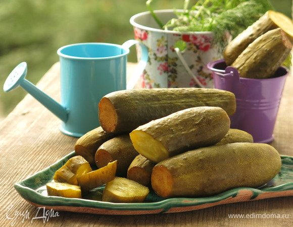 Соленые огурцы с солодом Соленые огурцы с солодом