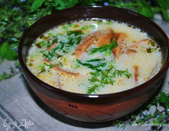 Сливочный суп с рыжиками Сливочный суп с рыжиками