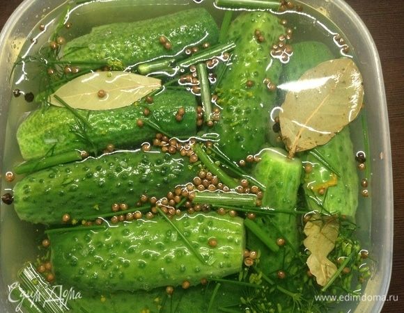 Огурцы малосольные летние «На удачу» Огурцы малосольные летние «На удачу»